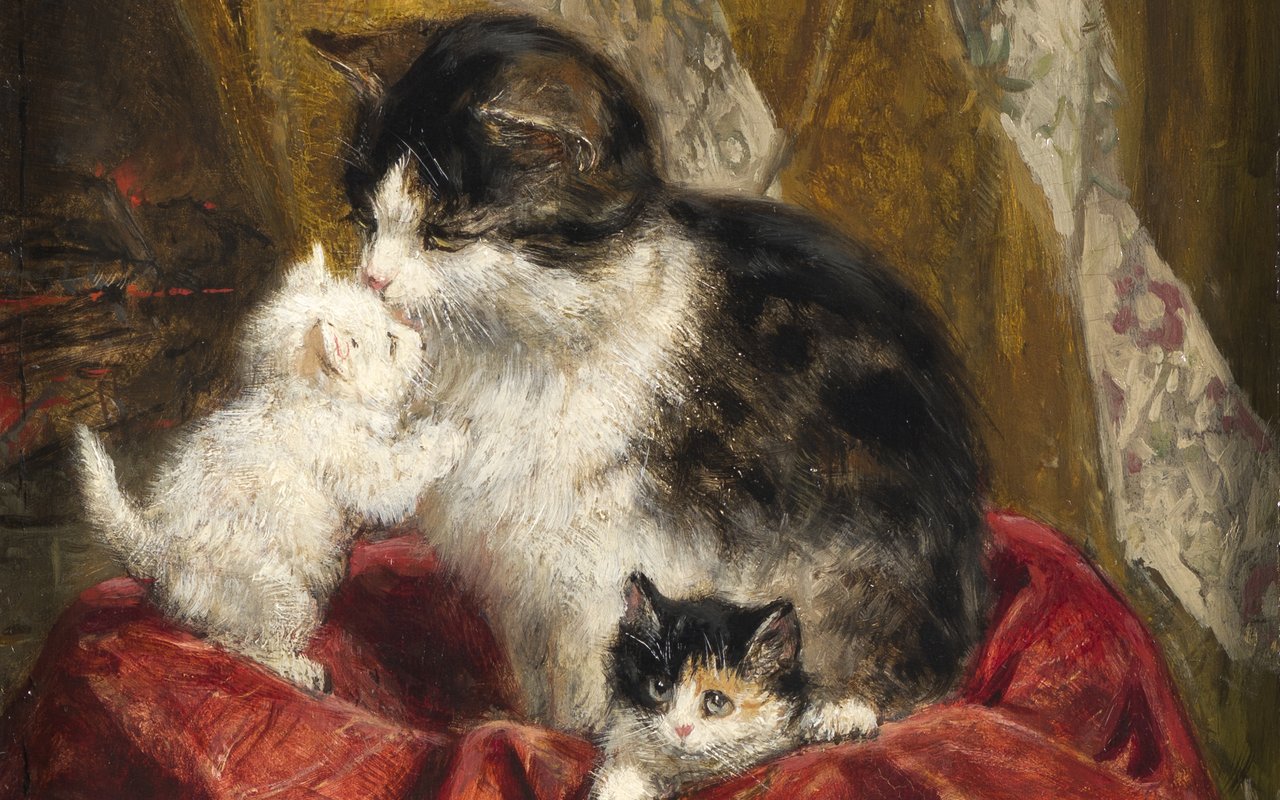 Henriette Ronner-Knip - Een kat met drie jongen - 1870-1909