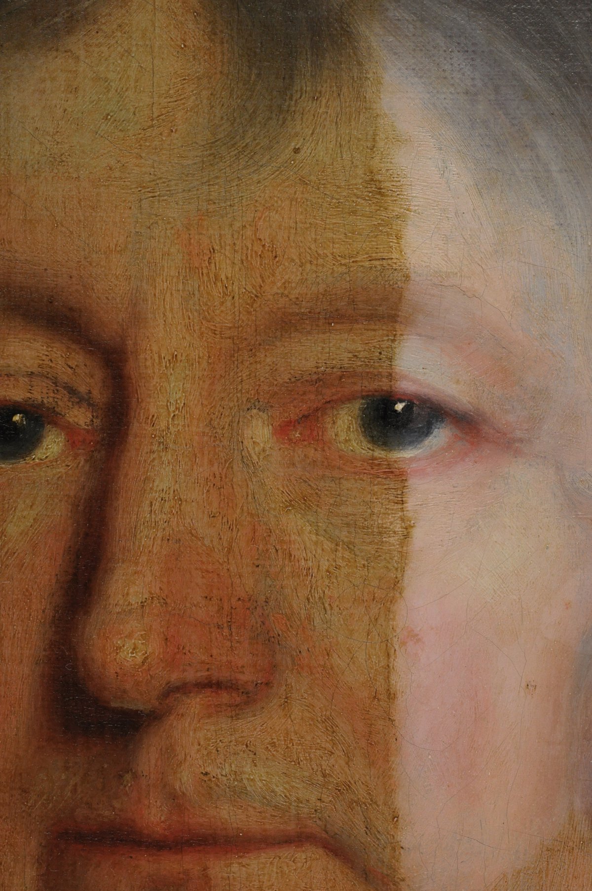 Van Hoogstraten toegevoegd aan collectie Dordrechts Museum. Het schilderij wordt gerestaureerd.
