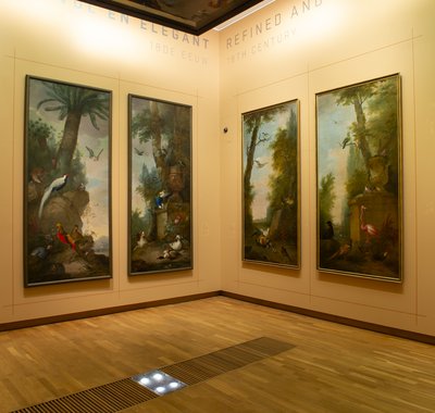 Jorgen Snoep - Vorstelijke Vogels - 2025