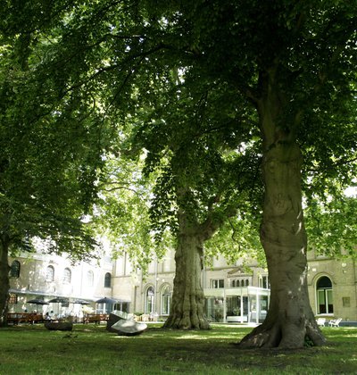 Museumtuin bij het Dordrechts Museum.