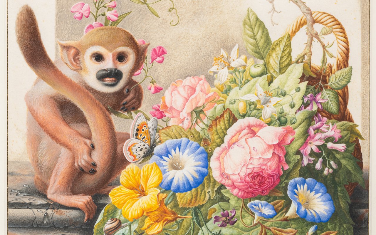 Herman Henstenburgh - Stilleven met een doodshoofdaapje, een vlinder en een mand met bloemen - ca. 1700-1720