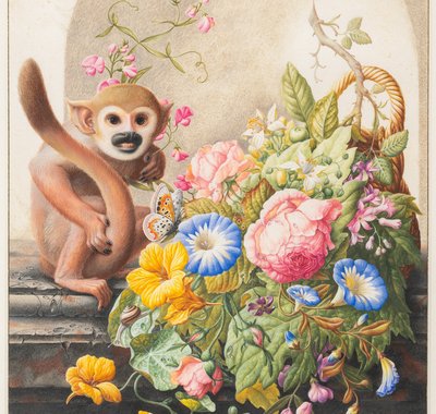 Herman Henstenburgh - Stilleven met een doodshoofdaapje, een vlinder en een mand met bloemen - ca. 1700-1720