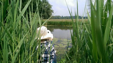 Schildersworkshop in de Biesbosch