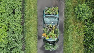 Tuin Auto (Car Garden)