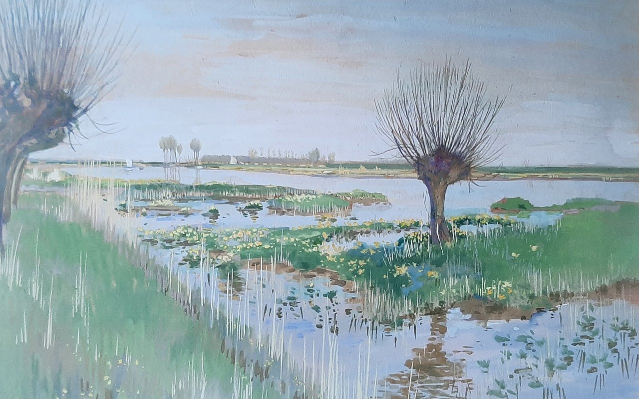 Dotterveld van Kennedy toegevoegd aan tentoonstelling Schilders van de Biesbosch in Dordrechts Museum. Mooie natuur op de afbeelding te zien.