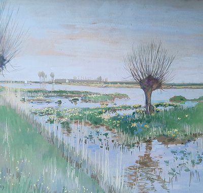 Dotterveld van Kennedy toegevoegd aan tentoonstelling Schilders van de Biesbosch in Dordrechts Museum. Mooie natuur op de afbeelding te zien.