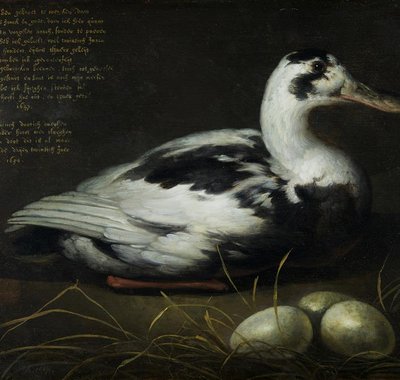 Aelbert Cuyp, Portret van de eend Sijctghen