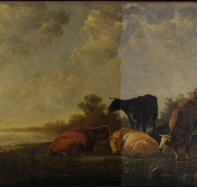 Rivierlandschap met koeien en herders van Aelbert Cuyp in het Dordrechts Museum. Het schilderij wordt gerestaureerd.