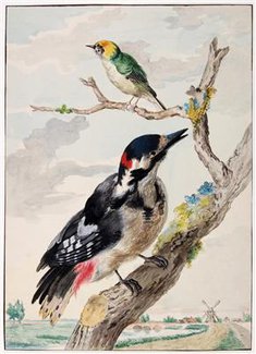 Twee vogels in een boom (aquarel)