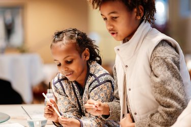 Vreemde Vogels familieroute