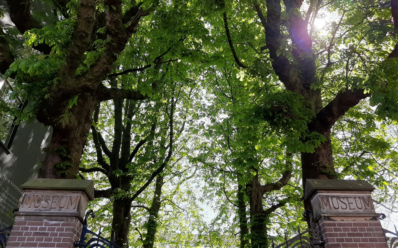 Het toegangshek tot de tuin van het Dordrechts Museum.