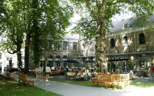 Museumtuin