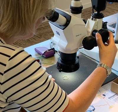 Lab op pad - Project van de RCE